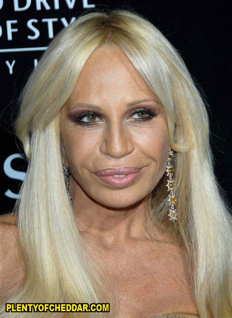 donatella versace net worth.